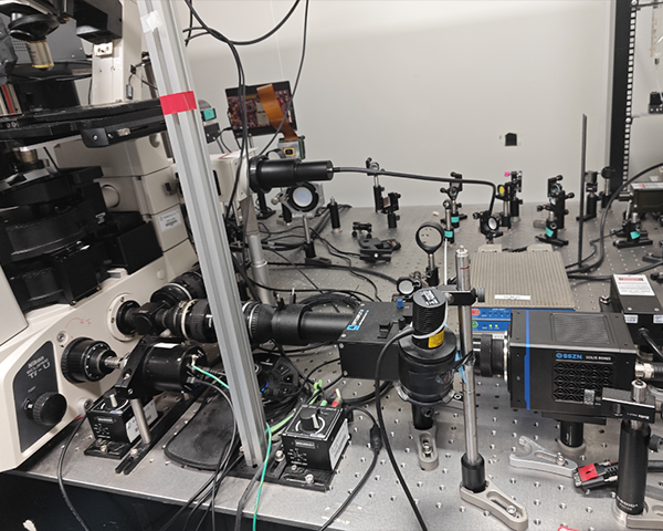 熒光下線蟲觀測(cè) 熒光下線蟲觀測(cè)