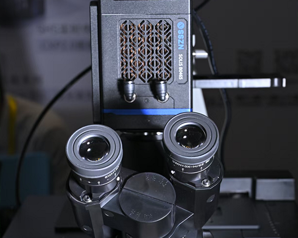 植物細(xì)胞熒光成像